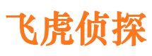 宝兴市侦探调查公司